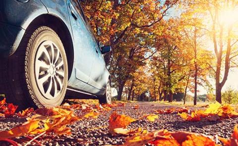 Fall Automotive Maintenance